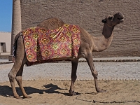 Chiwa  Usbekistan 2018