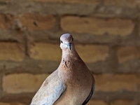 Taschkent  Usbekistan 2018