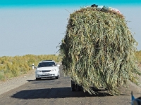 Transport  Usbekistan 2018