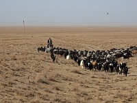 durch die Wüste  Usbekistan 2018