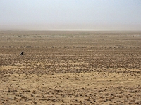 durch die Wüste  Usbekistan 2018