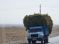 durch die Wüste  Usbekistan 2018