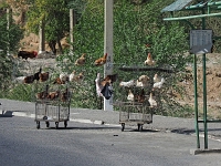 am Strassenrand  Usbekistan 2018