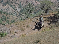 Tienshan - Wanderungen  Usbekistan 2018