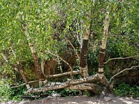 Tienshan - Wanderungen  Usbekistan 2018