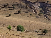 Tienshan - Wanderungen  Usbekistan 2018