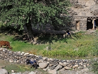 Nurata Berge - Wanderungen  Usbekistan 2018