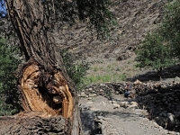 Nurata Berge - Wanderungen  Usbekistan 2018