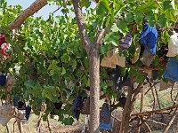 Nurata Berge - Wanderungen  Usbekistan 2018