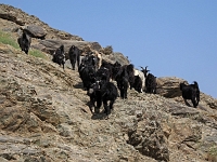 Nurata Berge - Wanderungen  Usbekistan 2018