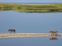 am Aidarkul See  Usbekistan 2018
