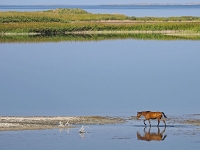 am Aidarkul See  Usbekistan 2018