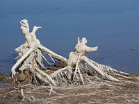 am Aidarkul See  Usbekistan 2018