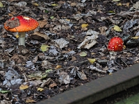 Ruhrpott  07  im Ruhrpott : Industriefotografie, Kohle, Stahl