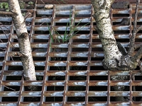 Ruhrpott  59  im Ruhrpott : Industriefotografie, Kohle, Stahl