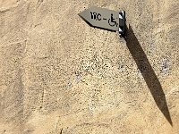 Detail einer Fassade  Regensburg : Fotowalk, 2019