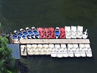 P6107103 1  MUT Juni 2017