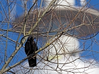 p2252190 f 1  Olympiapark MÃ¼nchen