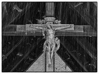 P6070028 SW 1  MÃ¼nchen-- Waldfriedhof : Waldfriedhof