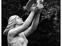 P6070031 SW 1  MÃ¼nchen-- Waldfriedhof : Waldfriedhof