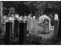 P6070047 SW 1  MÃ¼nchen-- Waldfriedhof : Waldfriedhof