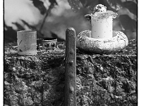 P6070095 SW 1  MÃ¼nchen-- Waldfriedhof : Waldfriedhof