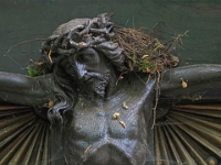 P6070039 1  MÃ¼nchen -Waldfriedhof : Waldfriedhof