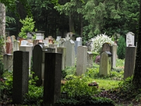 P6070047 1  MÃ¼nchen -Waldfriedhof : Waldfriedhof