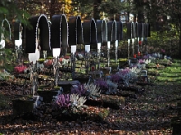 PB140040 1  Waldfriedhof - Muenchen : Waldfriedhof