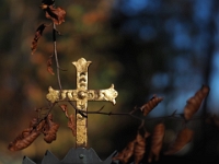 PB140049 1  Waldfriedhof - Muenchen : Waldfriedhof