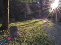 PB140130 1  Waldfriedhof - Muenchen : Waldfriedhof