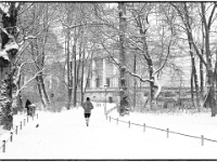 Englischer Garten 01  Winter im Englischen Garten : Muenchen, Winter, Englischer Garten, Spaziergang