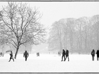 Englischer Garten 16  Winter im Englischen Garten : Muenchen, Winter, Englischer Garten, Spaziergang