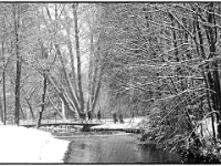 Englischer Garten 17  Winter im Englischen Garten : Muenchen, Winter, Englischer Garten, Spaziergang