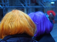 damische Ritter 2016 16