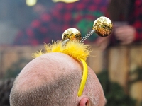 damische Ritter 2019 3  Damische Ritter Umzug 2019 : Fasching, Damische Ritter