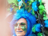 damische Ritter 2019 4  Damische Ritter Umzug 2019 : Fasching, Damische Ritter