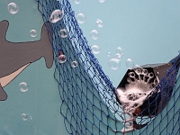 damische Ritter 2020 32