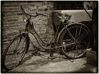 PA100268 SW 1  Museumsdorf Cloppenburg : Bauernmuseum