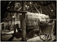 PA100279 SW 1  Museumsdorf Cloppenburg : Bauernmuseum