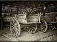 PA100284 1  Museumsdorf Cloppenburg : Bauernmuseum