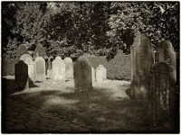 PA100318 SW 1  Museumsdorf Cloppenburg : Bauernmuseum