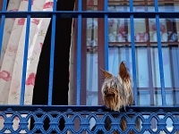 Andalusien Nerja 14 1  Andalusien_2007