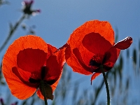 Andalusien Wandern 10 1  Andalusien_2007