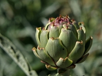 Andalusien Wandern 11 1  Andalusien_2007