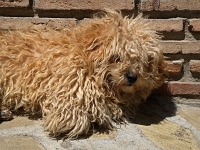 Andalusien Wandern 13 1  Andalusien_2007