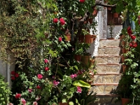 Andalusien Wandern 14 1  Andalusien_2007