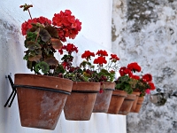 Andalusien Wandern 22 1  Andalusien_2007