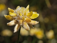 Andalusien Wandern 27  Andalusien_2007