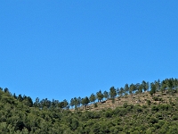 Andalusien Wandern 30 1  Andalusien_2007